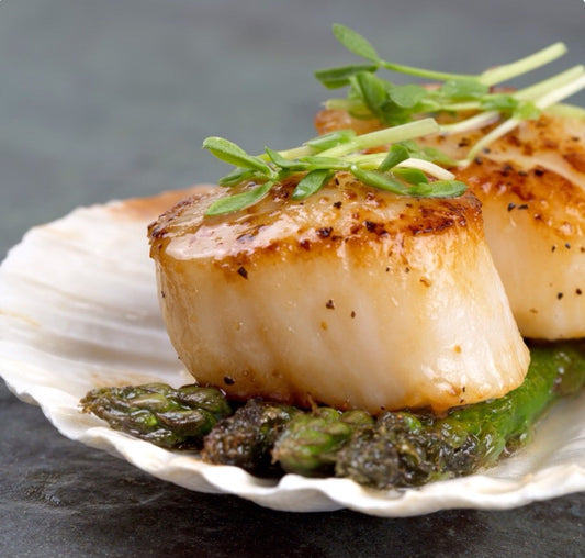 Diver Scallops